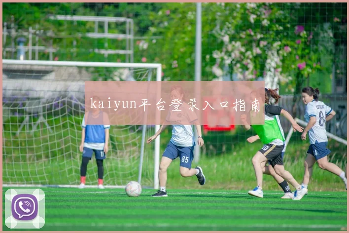 kaiyun平台登录入口指南