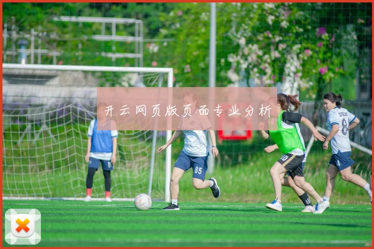 开云网页版页面专业分析