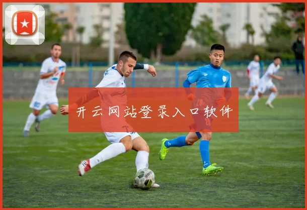开云网站登录入口软件