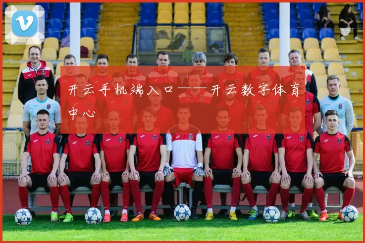 开云手机端入口——开云数字体育中心