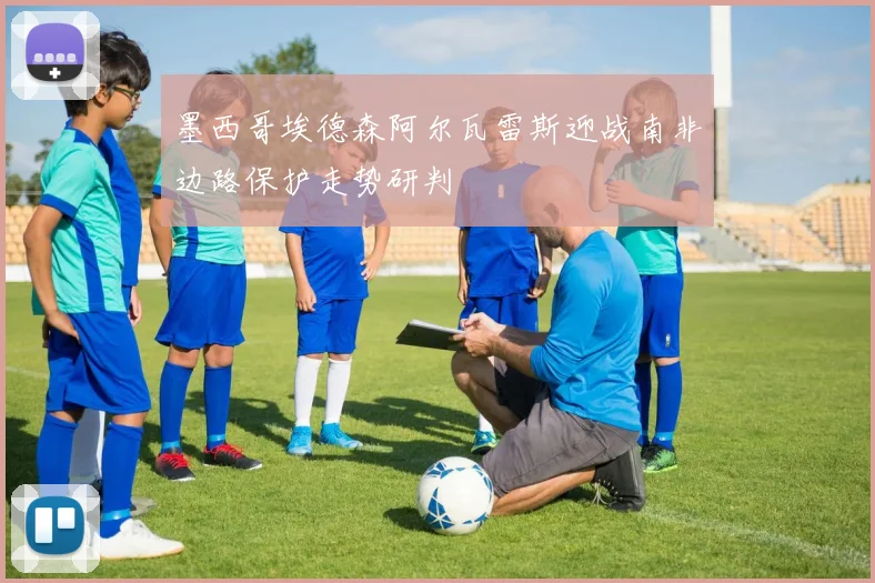 墨西哥埃德森阿尔瓦雷斯迎战南非边路保护走势研判