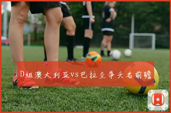 D组澳大利亚vs巴拉圭争头名前瞻