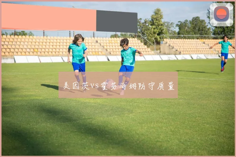 美因茨vs霍芬海姆防守质量
